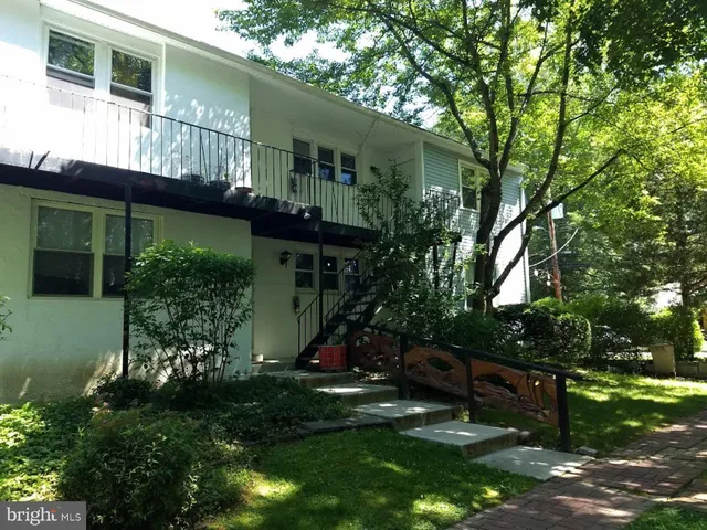 a backyard of a house with plants and large tree