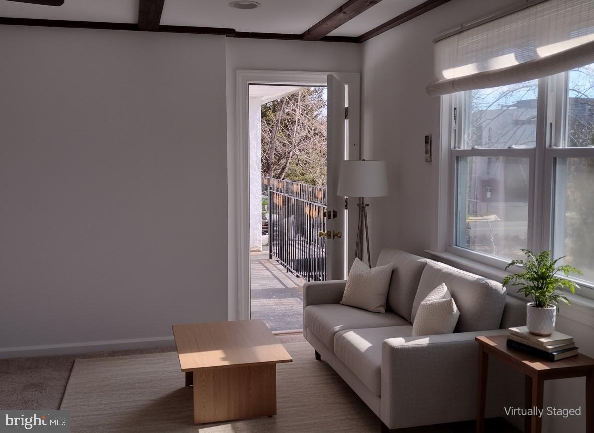 131 North Main Street New Hope, PA 18938 - Photo 11 of 26 a living room with furniture and a potted plant