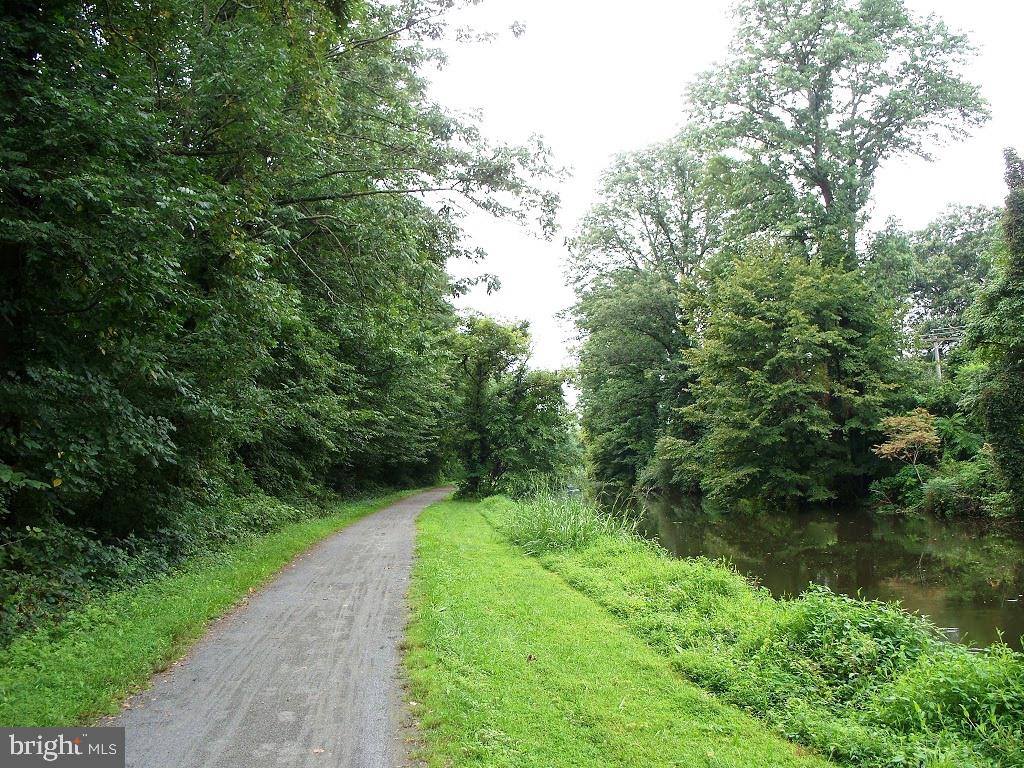 131 North Main Street New Hope, PA 18938 - Photo 20 of 23 a view of a garden with a lake