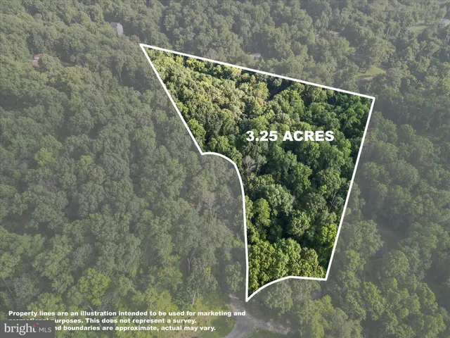 $20,000 | Lot 25 Doom Peak Road, Linden, VA 22642