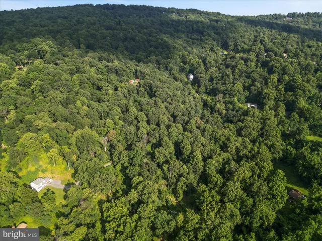 $20,000 | Lot 25 Doom Peak Road, Linden, VA 22642