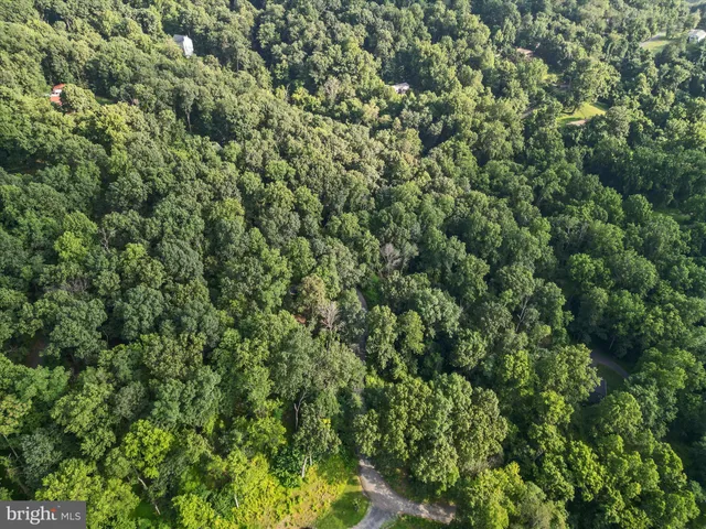 $20,000 | Lot 25 Doom Peak Road, Linden, VA 22642