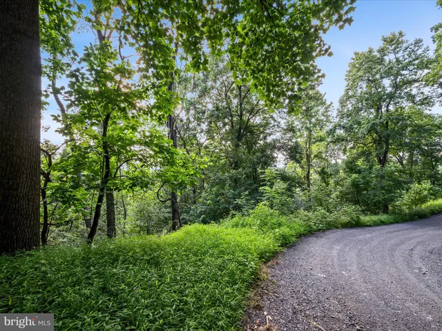 $20,000 | Lot 25 Doom Peak Road, Linden, VA 22642
