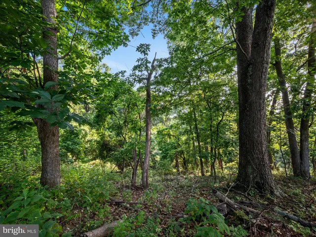 $20,000 | Lot 25 Doom Peak Road, Linden, VA 22642