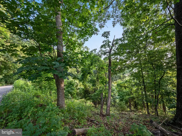 $20,000 | Lot 25 Doom Peak Road, Linden, VA 22642