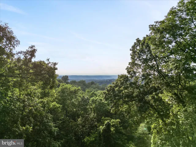 $20,000 | Lot 25 Doom Peak Road, Linden, VA 22642