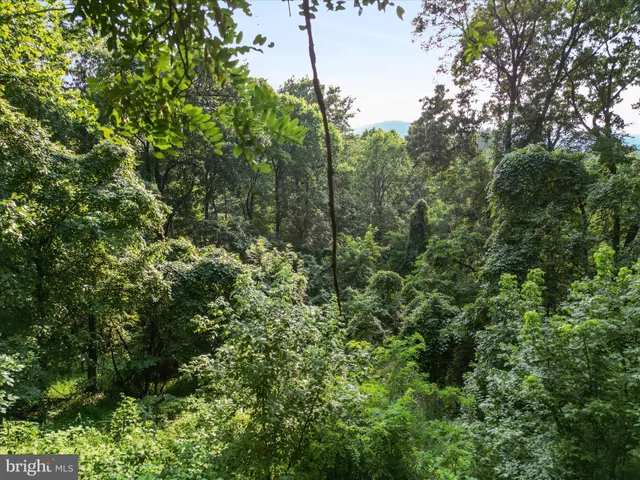 $20,000 | Lot 25 Doom Peak Road, Linden, VA 22642