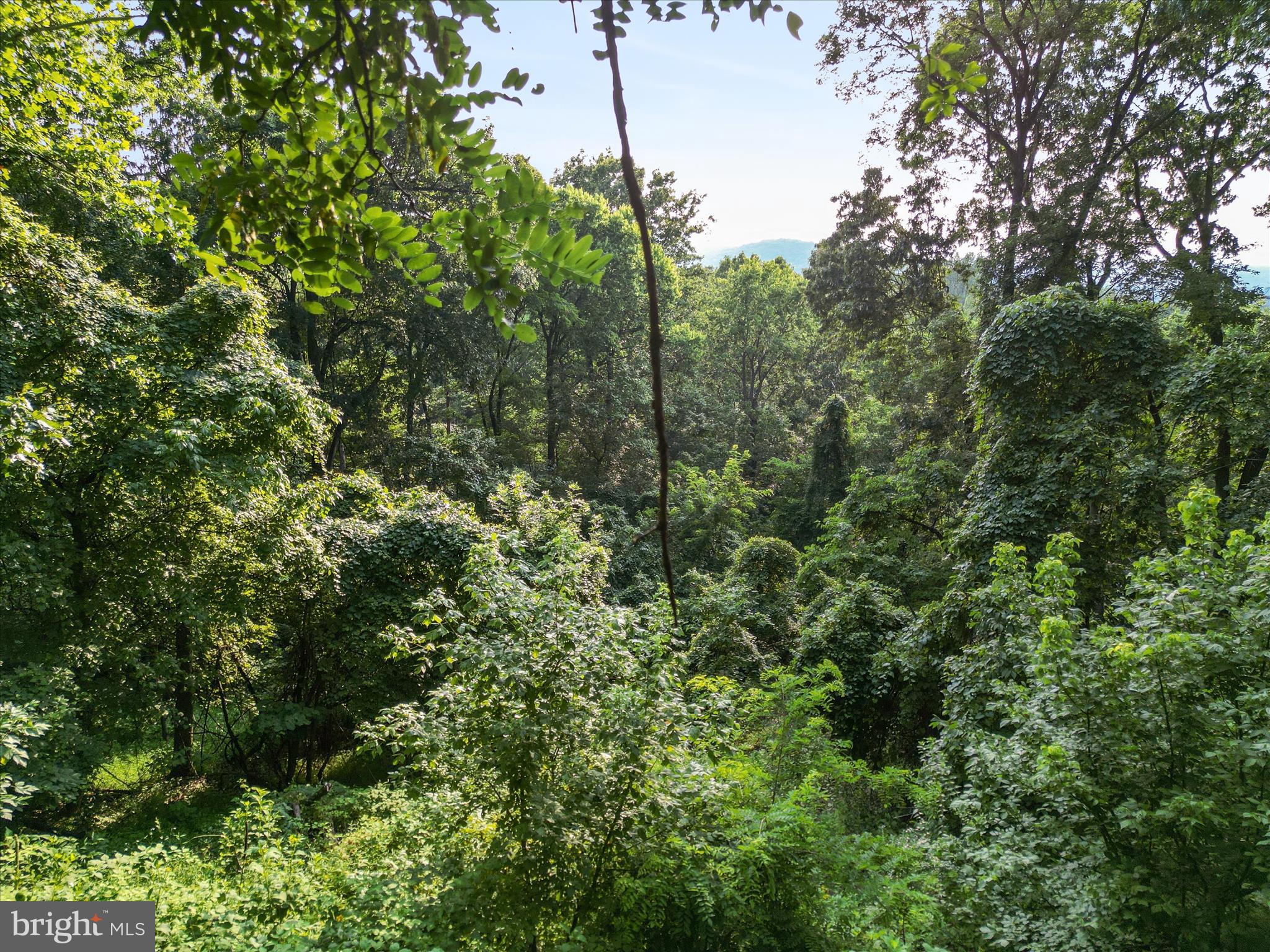 Lot 25 Doom Peak Road Linden, VA 22642 - Photo 10 of 22 Doom Peak Rd-7