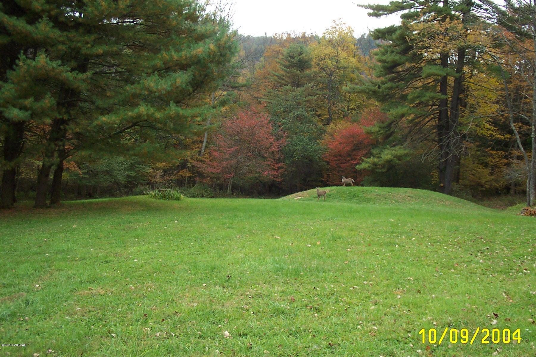 401 Norton Road Forksville, PA 18616 - Photo 10 of 53 DCP_0815