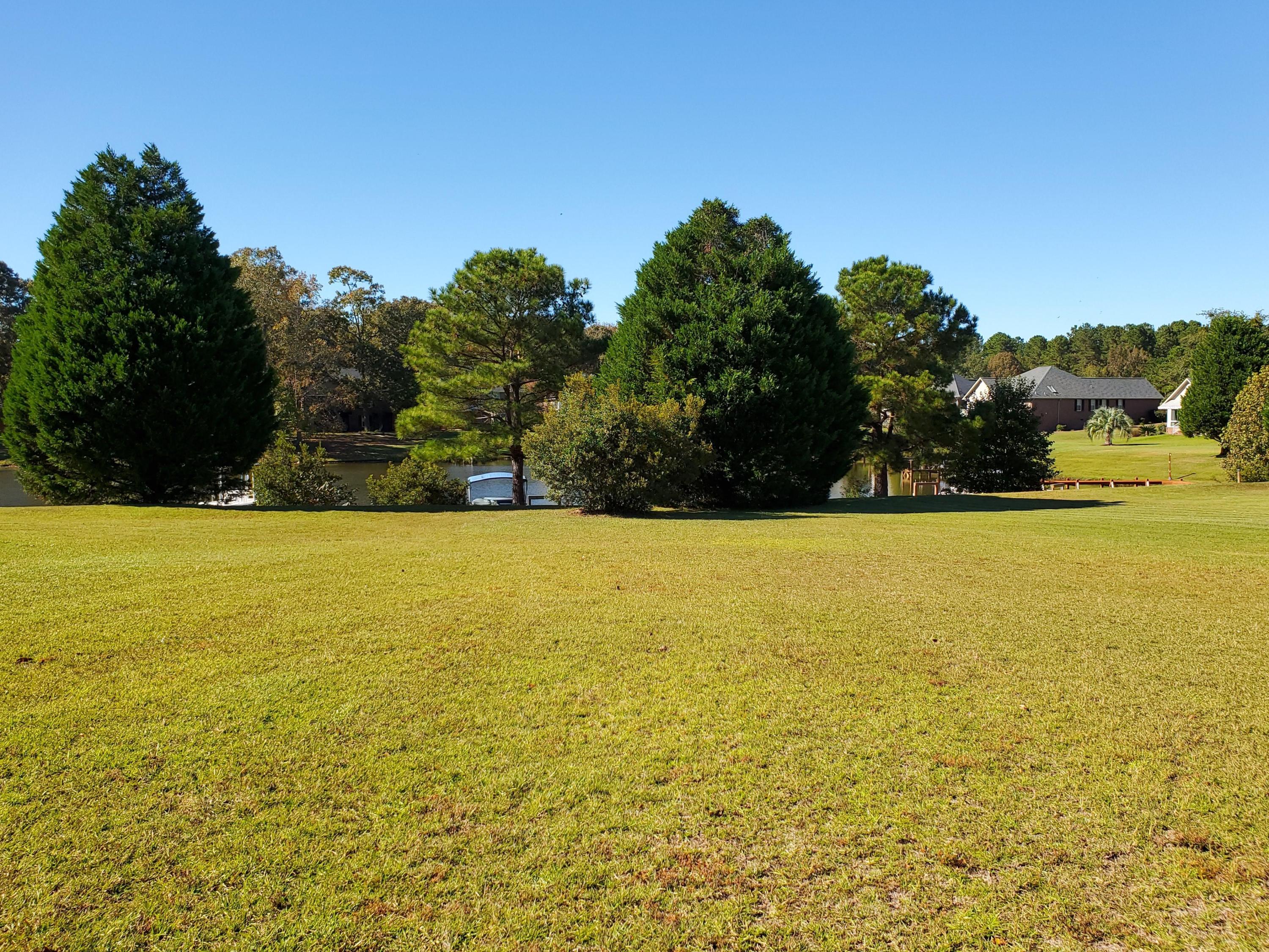 2 Ridge Lake Drive Manning, SC 29102 - Photo 4 of 25 MIDDLE OF LOT LOOKING TOWARD LAKE