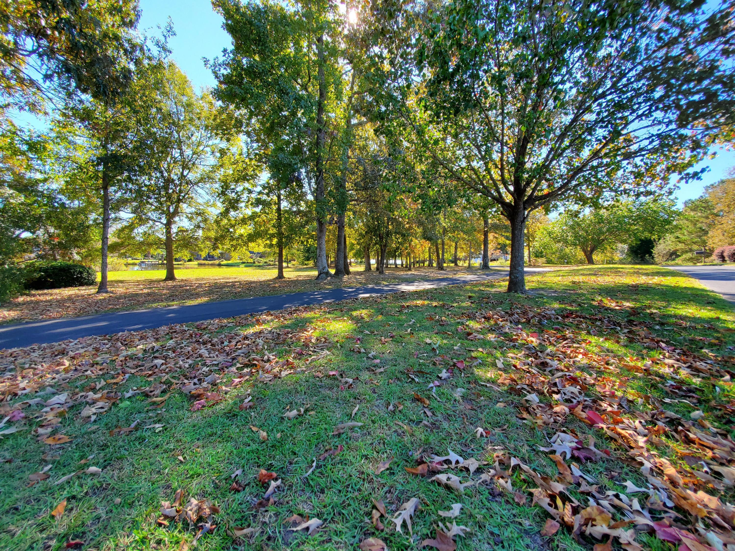 2 Ridge Lake Drive Manning, SC 29102 - Photo 8 of 25 VIEW AT FRONT OF LOT LOOKING RIGHT TOWAR