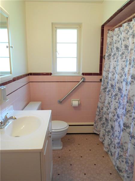 743 Braddock Road Pittsburgh, PA 15221 - Photo 14 of 25 Full bath on main level has updated vanity and medicine cabinet. Large utility closet located behind bathroom door.