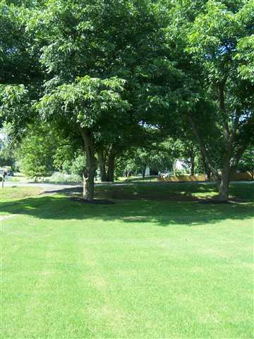 7297 Reidville Road Woodruff, SC 29388 - Photo 5 of 13 Gallery Image 5