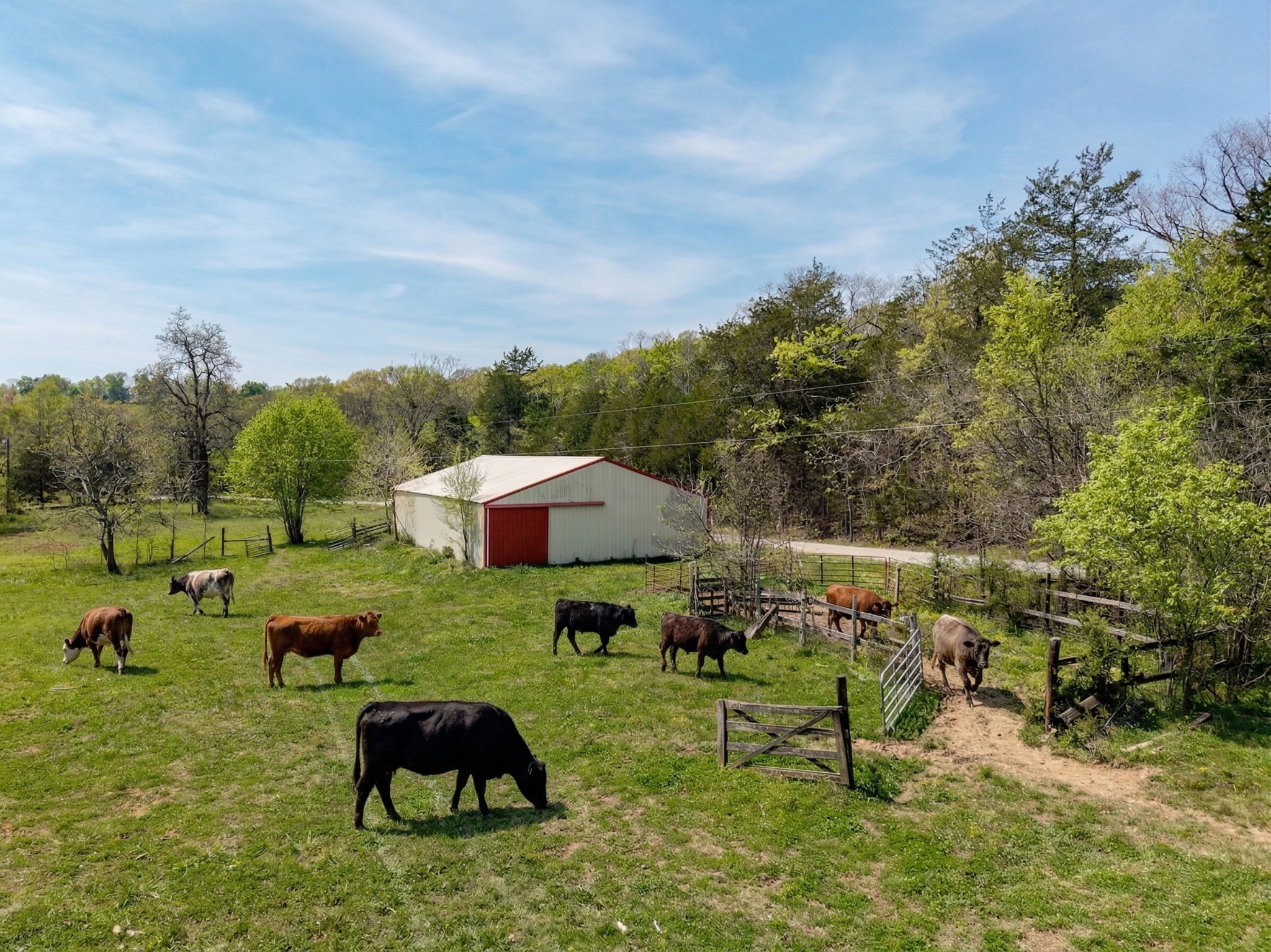 305 Ingram Road Pulaski, TN 38478 - Photo 5 of 29