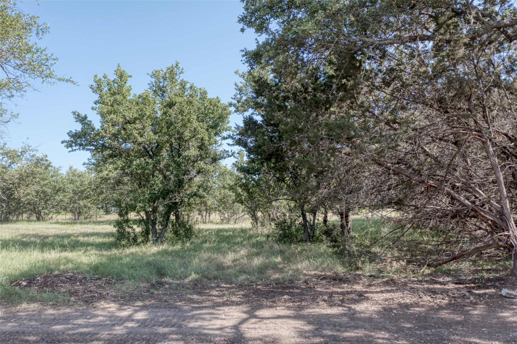 Lot 3 County 340 Road Burnet, TX 78611 - Photo 3 of 12 a view of a forest with a tree