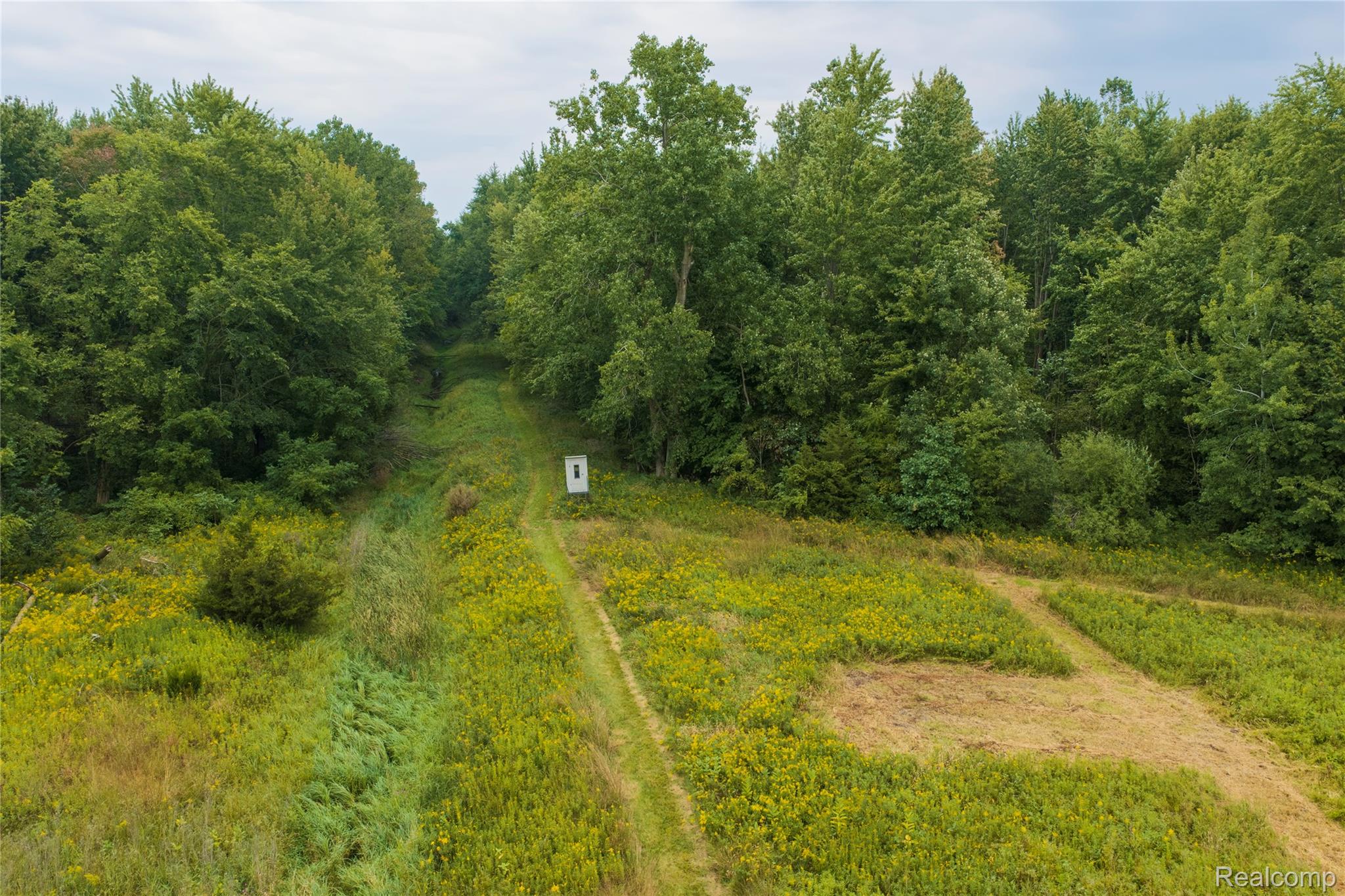 10582 Grover Road Reading, MI 49274 - Photo 13 of 18 13 Reading Ditch Blind View.jpg