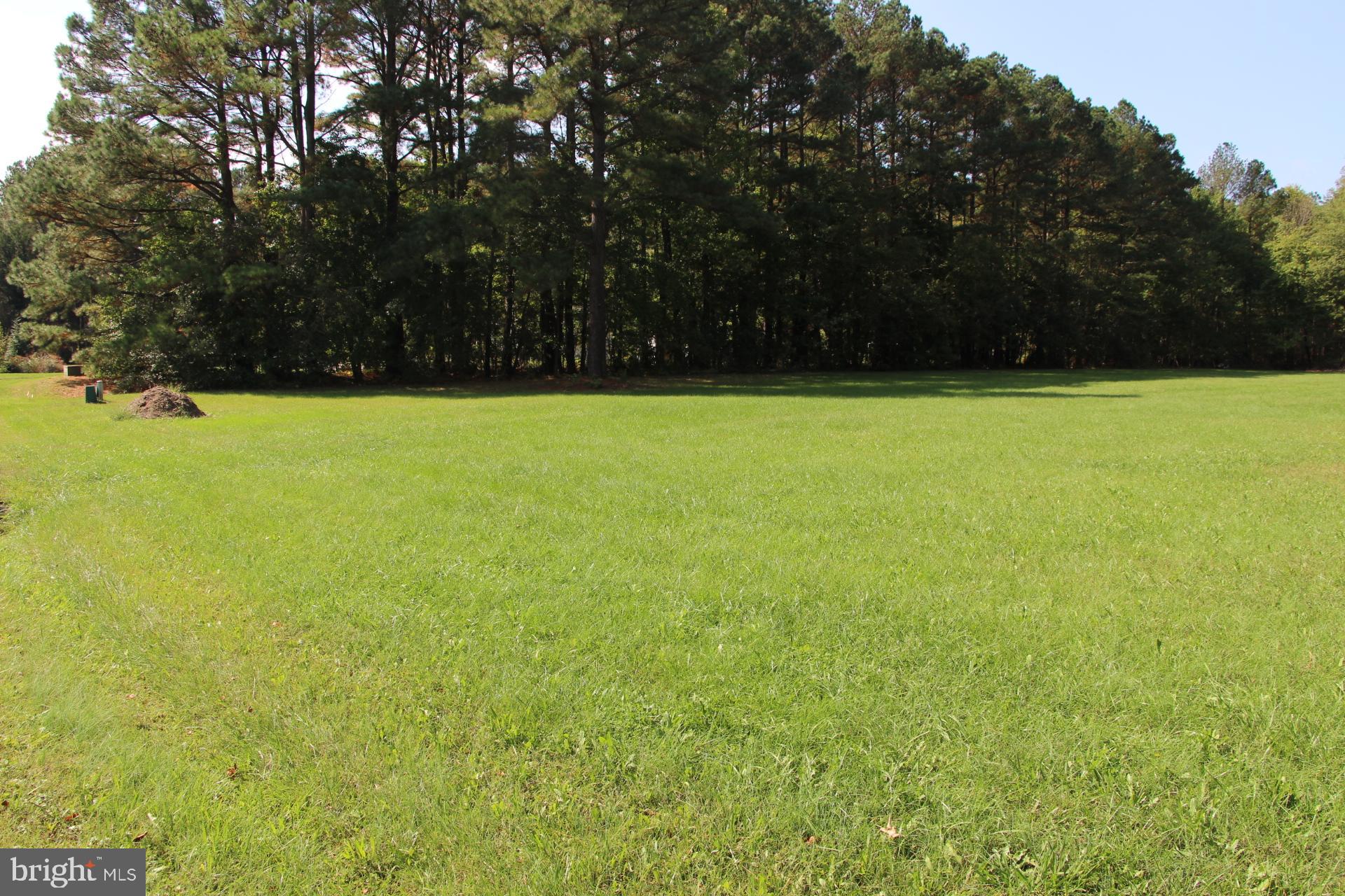 Sailors Retreat Road Oxford, MD 21654 - Photo 11 of 11