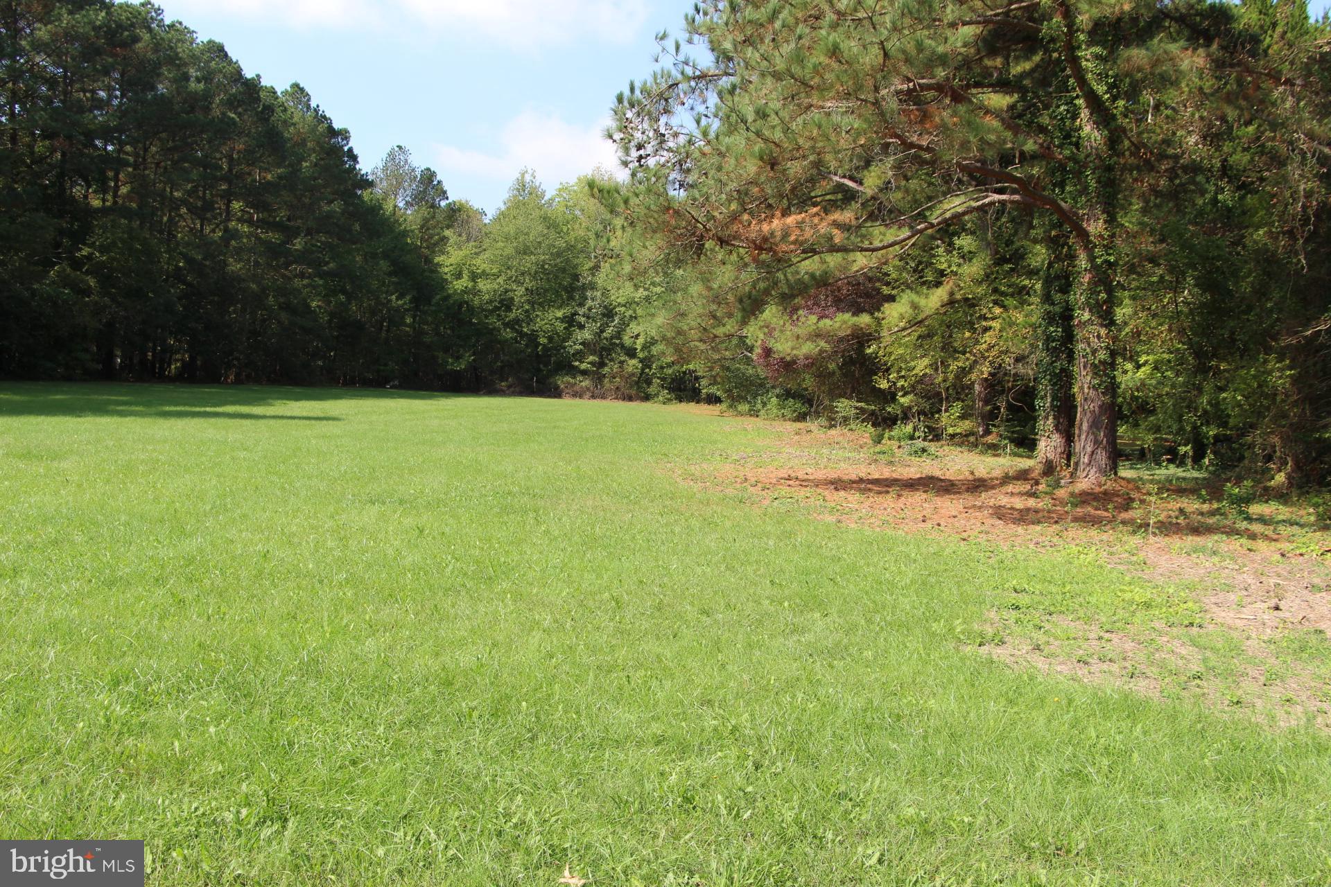 Sailors Retreat Road Oxford, MD 21654 - Photo 3 of 11