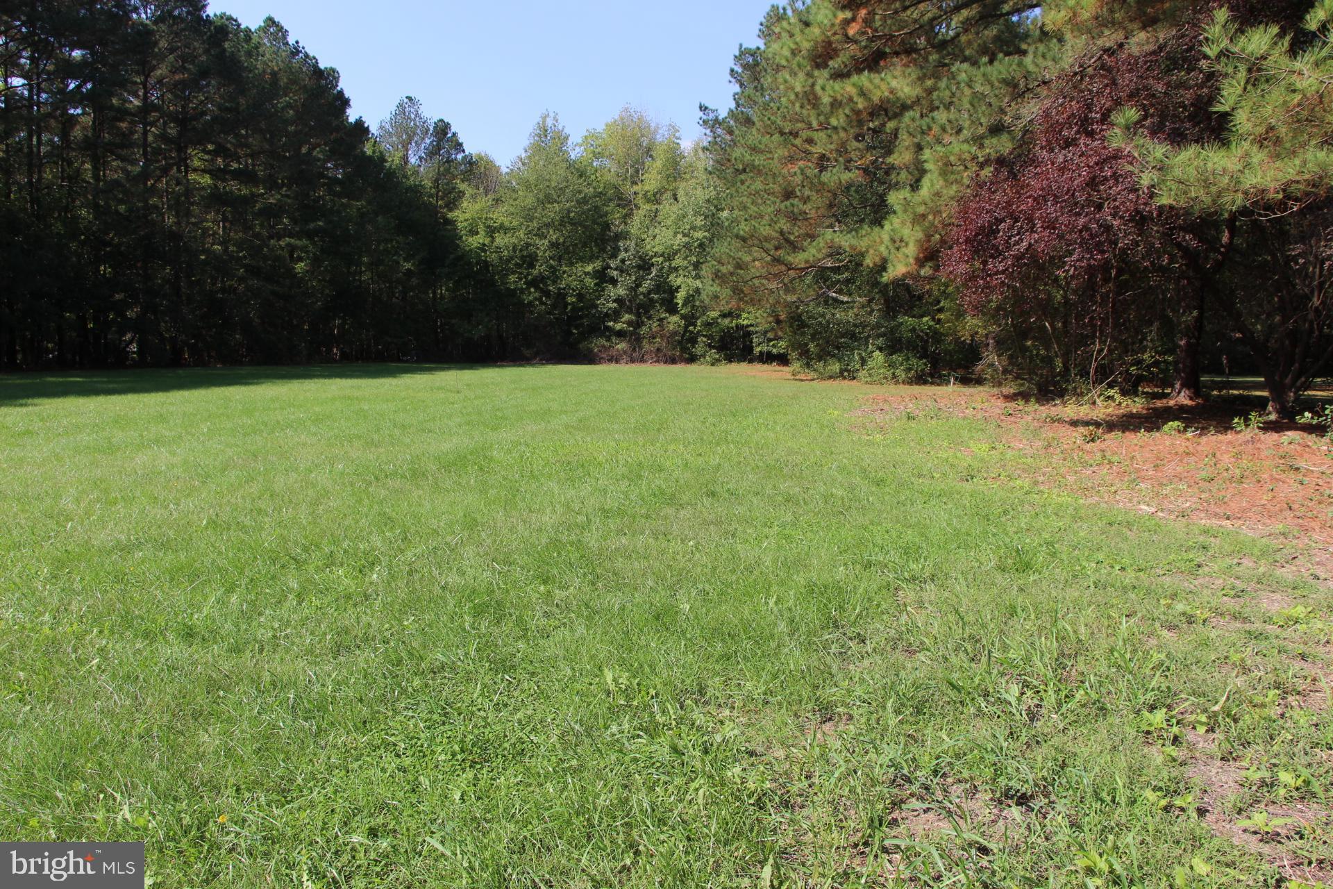 Sailors Retreat Road Oxford, MD 21654 - Photo 9 of 11