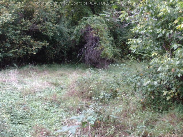 2540 Benedict Road Culloden, WV 25510 - Photo 3 of 10 Gallery Image 3