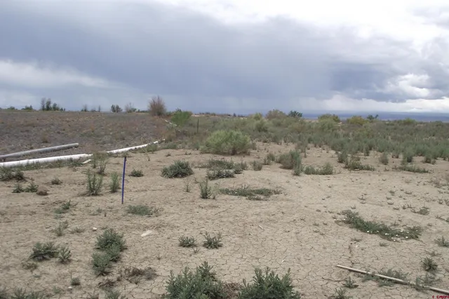 a view of a dry yard with wooden fence