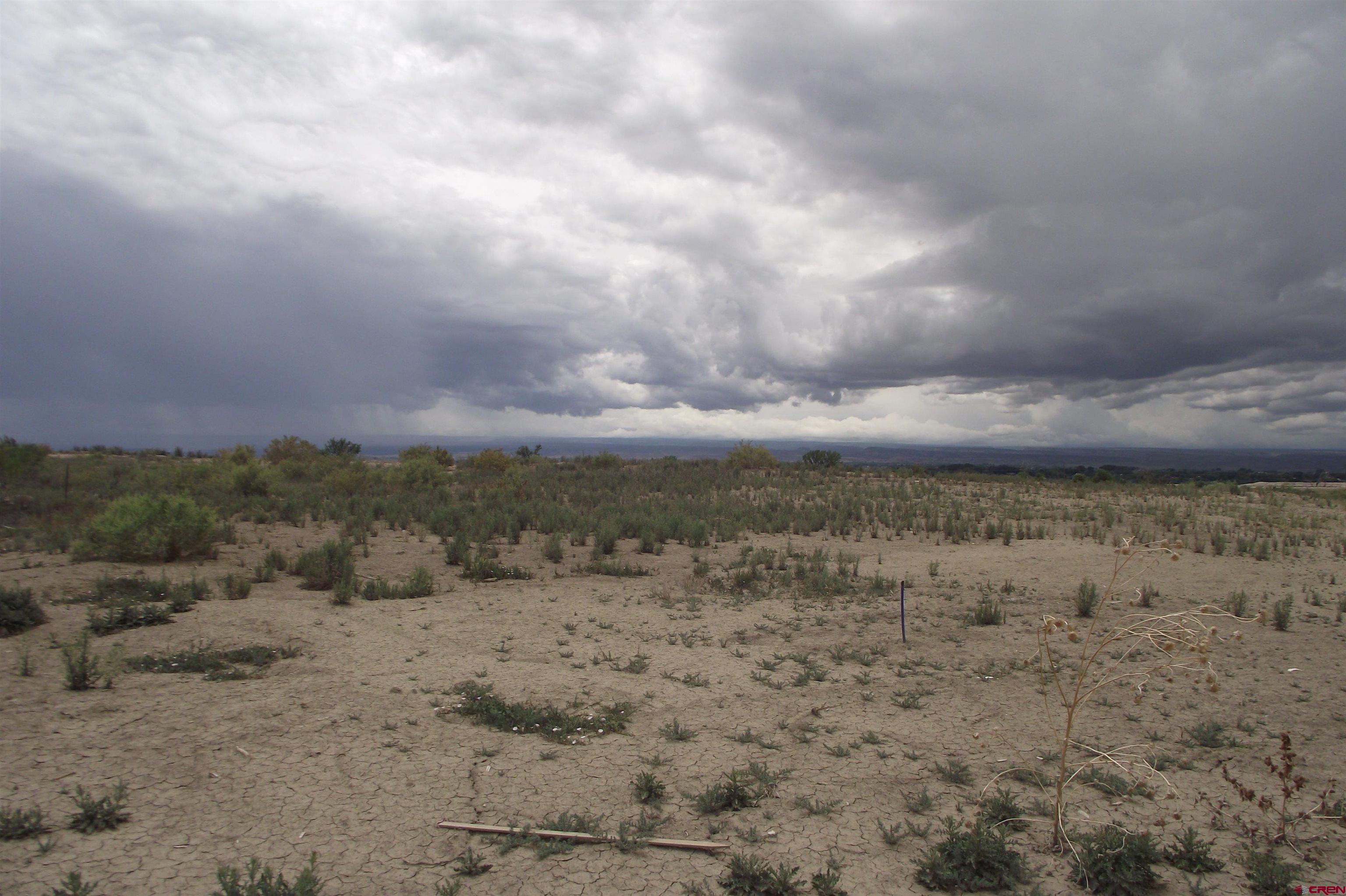 Lot 4-tbd Lot 4-tbd 1900th Road Delta, CO 81416 - Photo 19 of 31 a view of a dry yard with lots of bushes