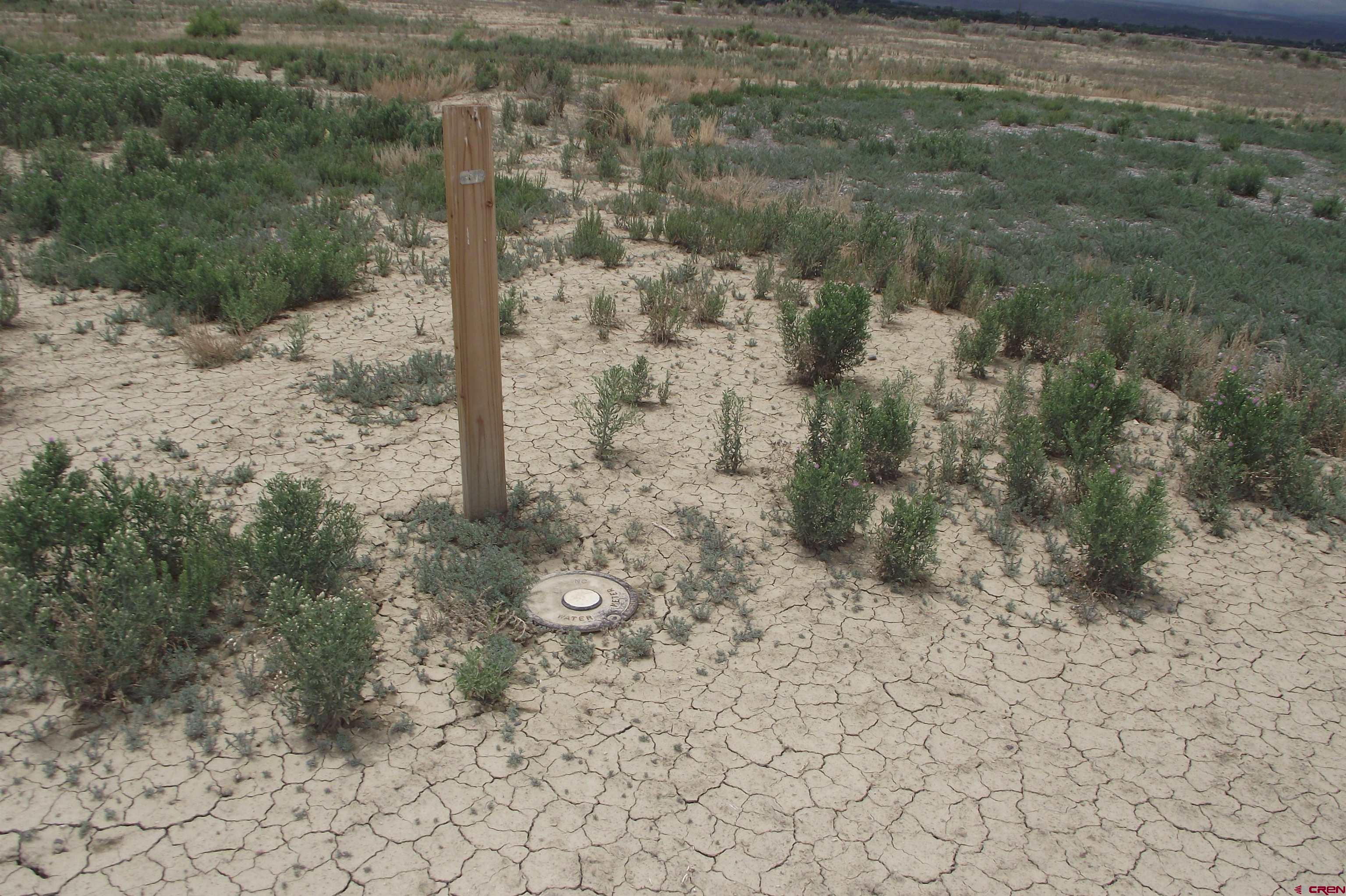Lot 4-tbd Lot 4-tbd 1900th Road Delta, CO 81416 - Photo 22 of 31 a view of a dry yard with trees