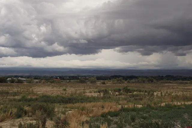 a view of a big yard with large trees