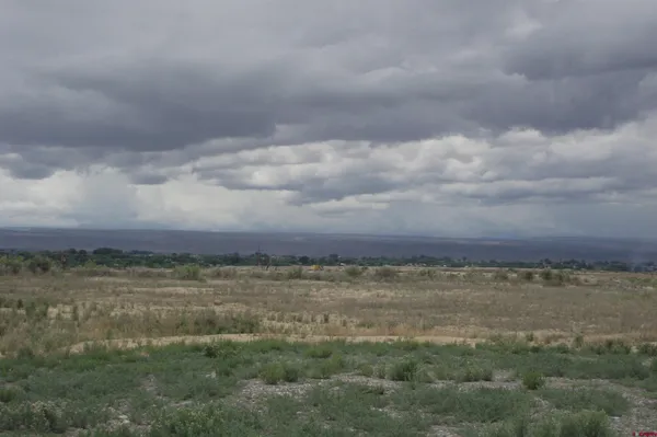 a view of a field