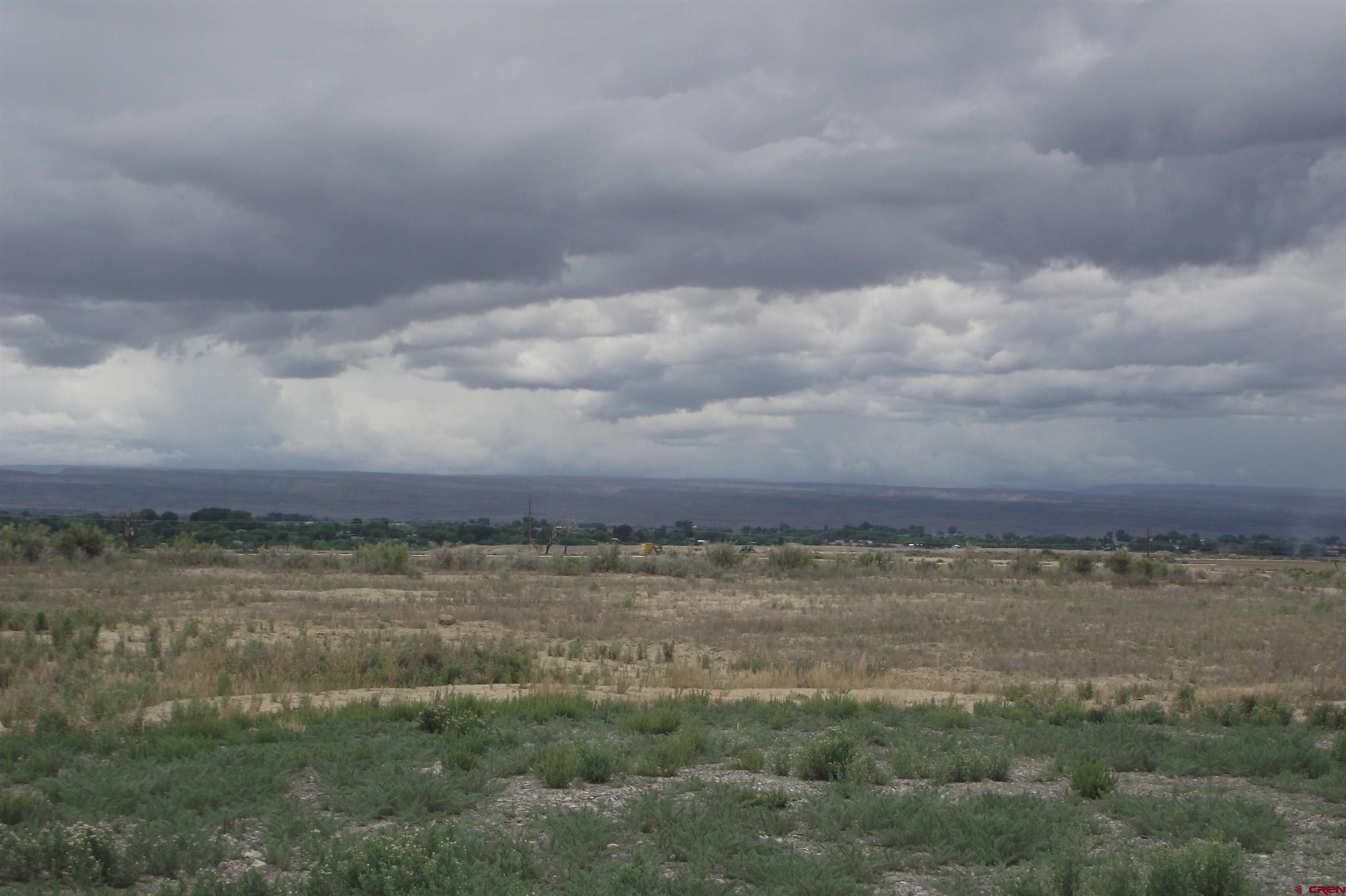 Lot 4-tbd Lot 4-tbd 1900th Road Delta, CO 81416 - Photo 24 of 31 a view of a big yard with large trees