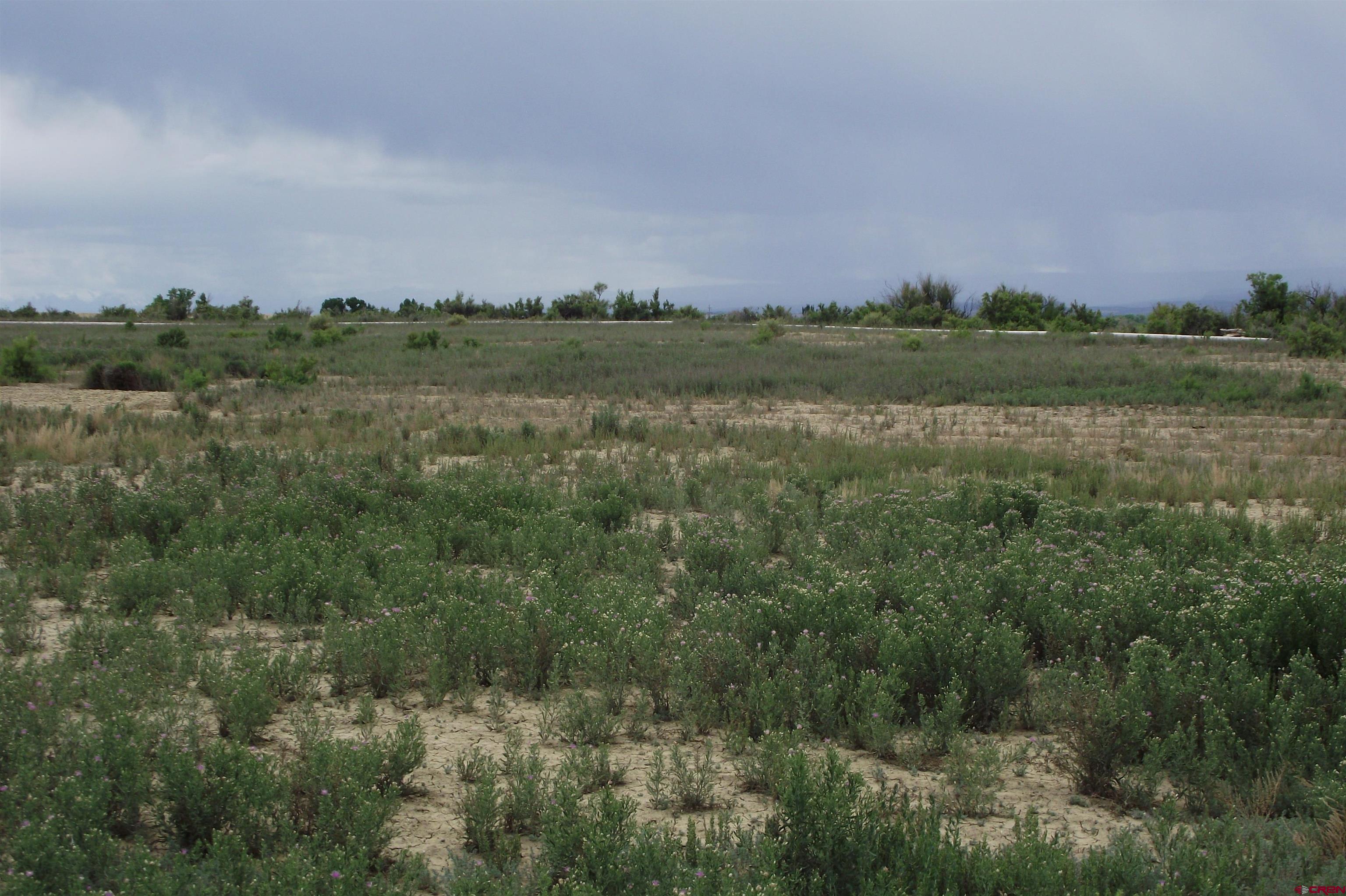 Lot 4-tbd Lot 4-tbd 1900th Road Delta, CO 81416 - Photo 28 of 31 a view of a field with trees in background