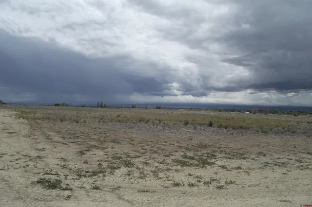 a view of a dry yard