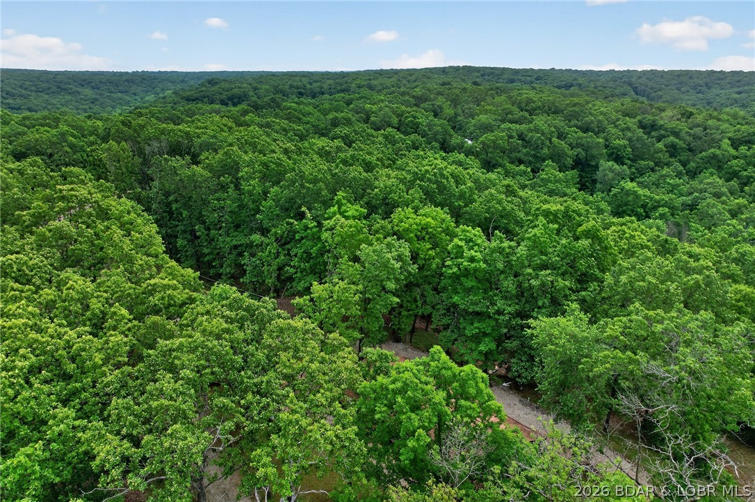 16376 Twisted Tree Road Barnett, MO 65011 - Photo 57 of 65