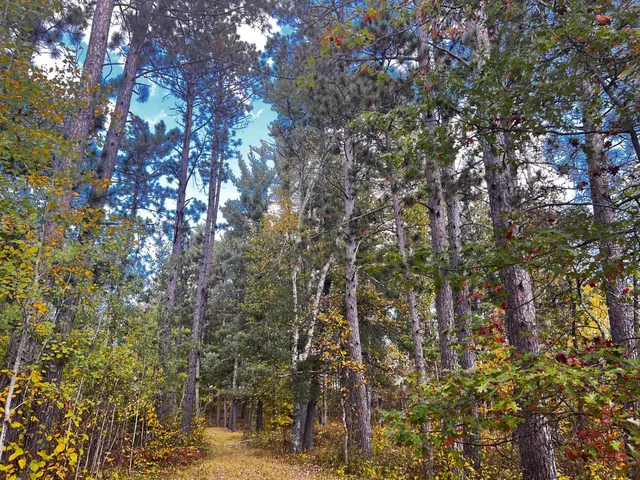 $379,900 | 10449 Highway 113, Park Rapids, MN 56470