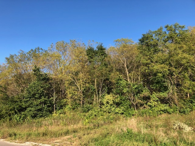 21080 Smaltz Road Morrison, IL 61270 - Photo 1 of 15