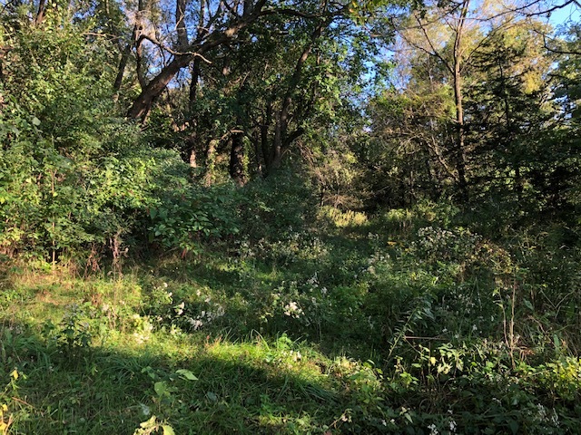 21080 Smaltz Road Morrison, IL 61270 - Photo 5 of 15