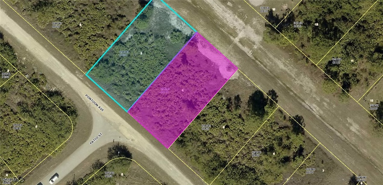 367 Pontoon Avenue Lehigh Acres, FL 33974 - Photo 1 of 8 a view of a yard