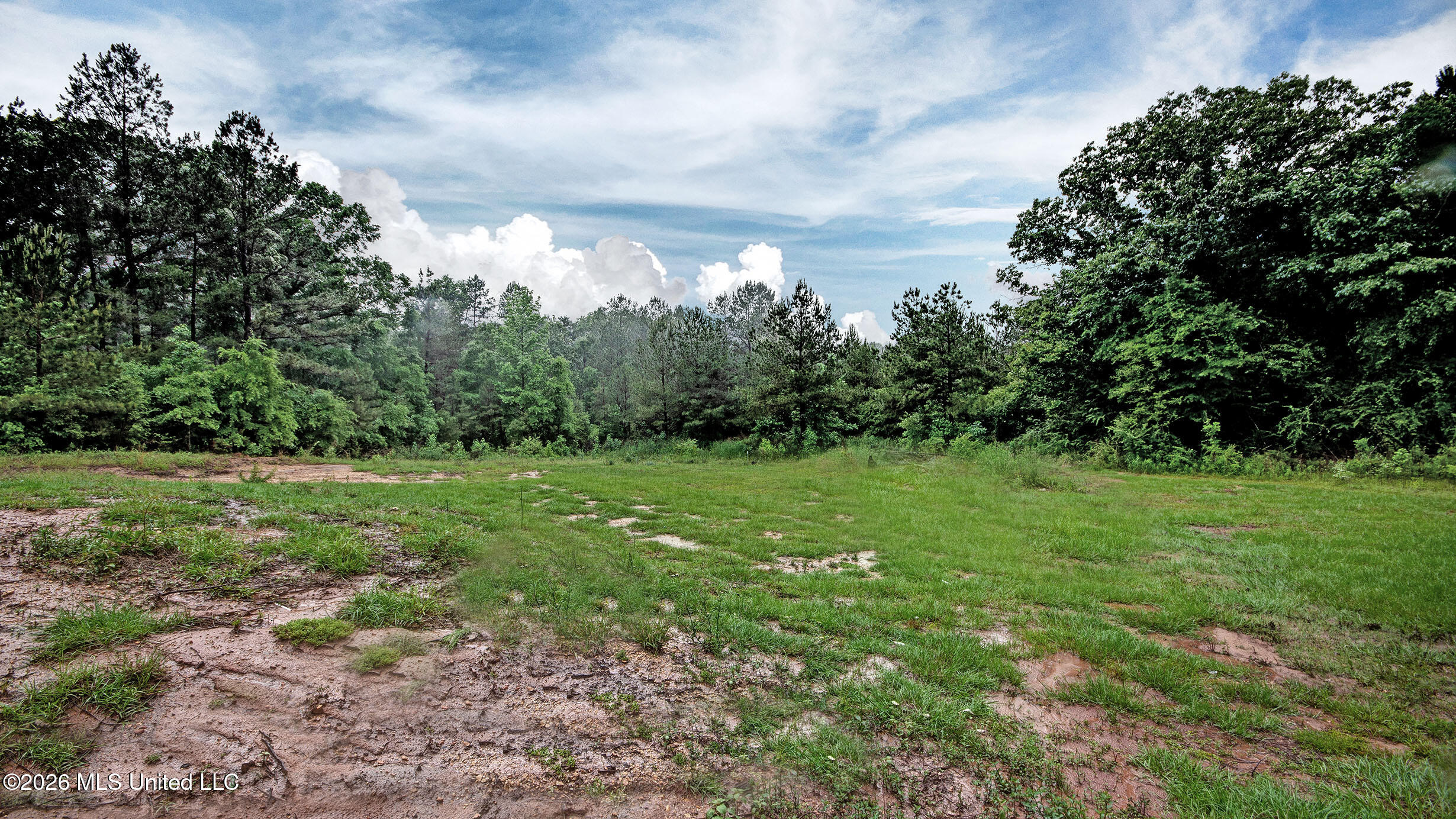 155 Dewitt Flynt Road Mendenhall, MS 39114 - Photo 29 of 29 IMGP7311_2_3