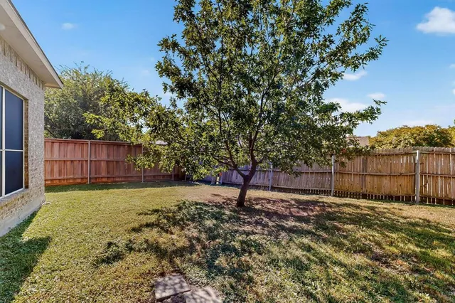 a view of a backyard with a tree