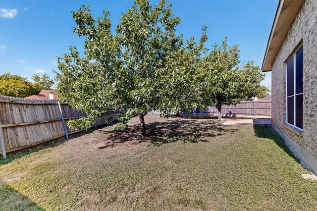 a view of a backyard with wooden fence