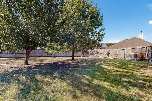 a view of a yard with a tree