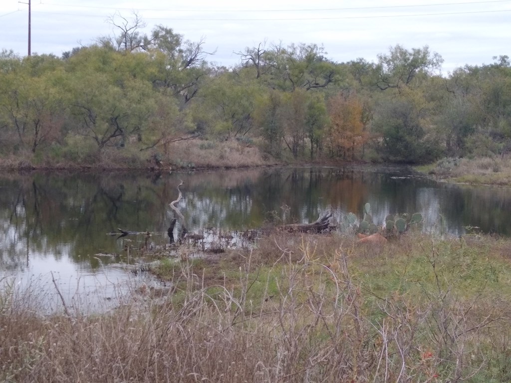 520 North County Road Llano, TX 78643 - Photo 21 of 23