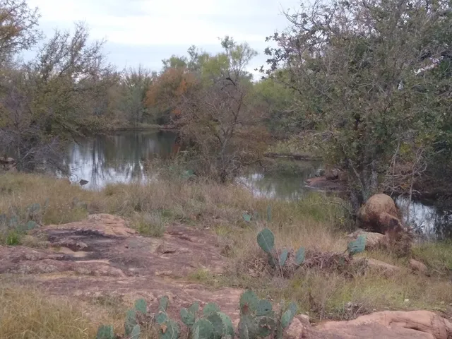 a view of swimming pool