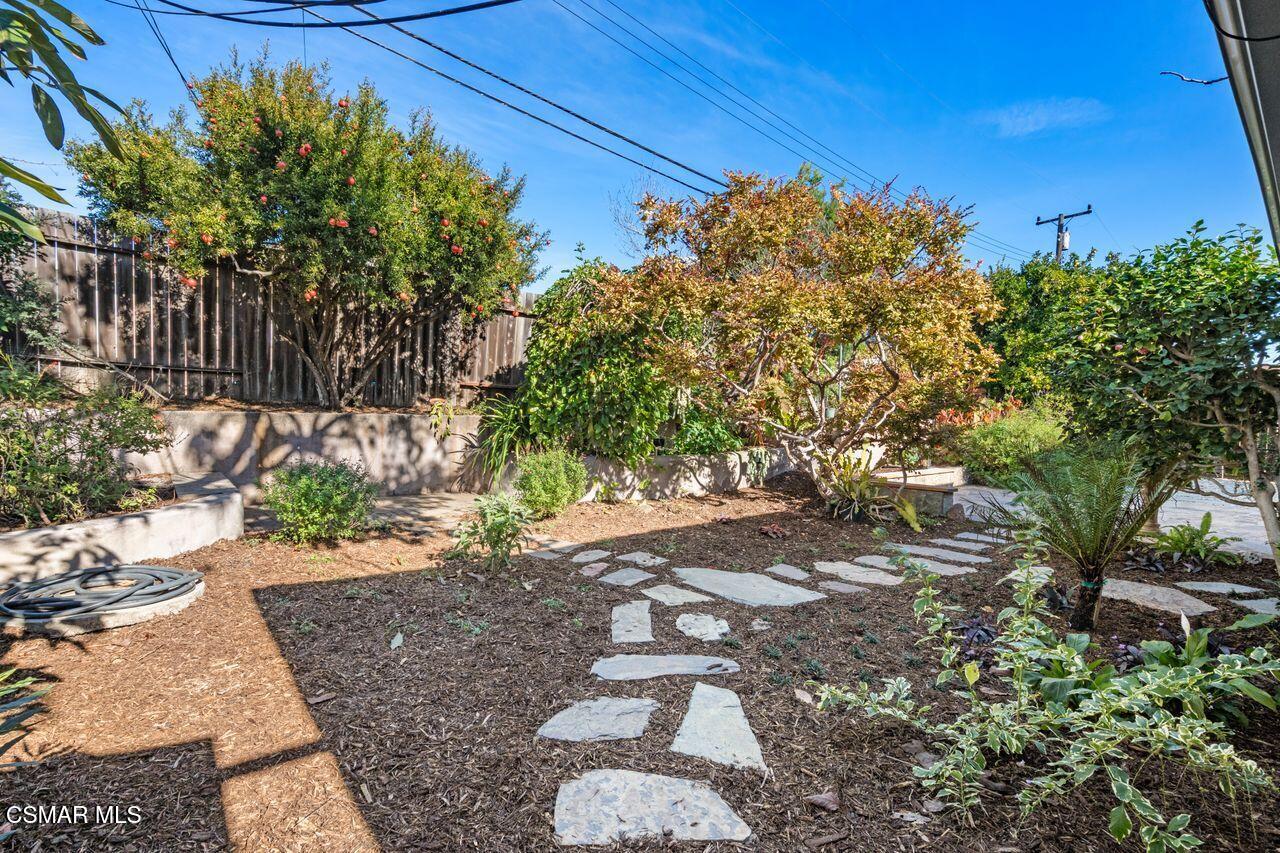 3359 Ridden Street Camarillo, CA 93010 - Photo 25 of 30 a picture of plants