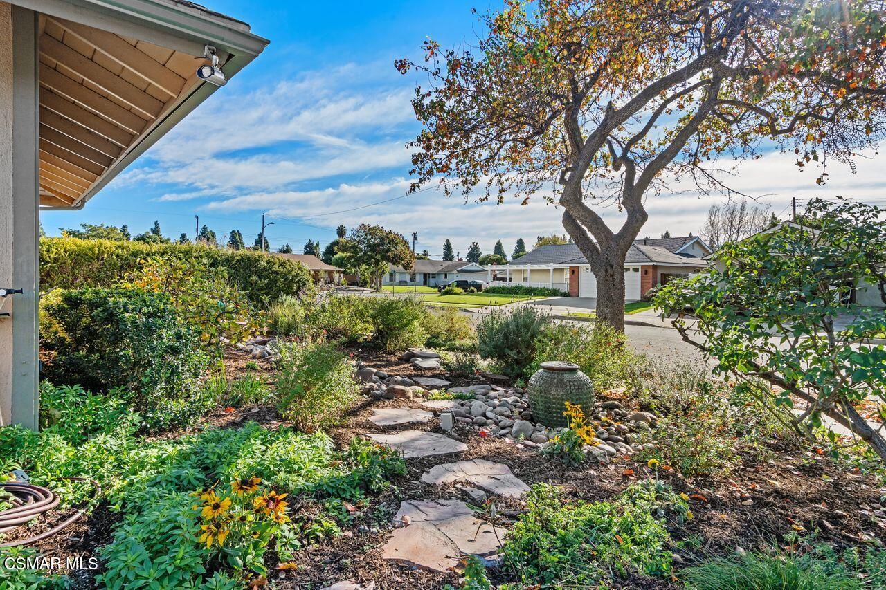 3359 Ridden Street Camarillo, CA 93010 - Photo 4 of 30 a view of a garden with a tree