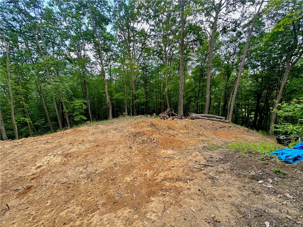 Old Chestnut Mountain Road Newland, NC 28657 - Photo 29 of 33