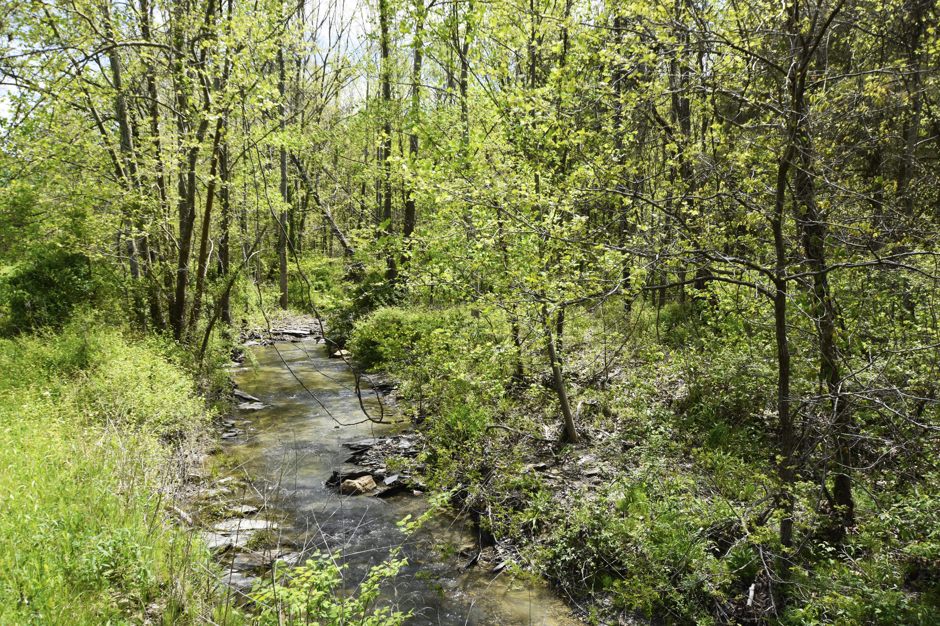 2771 Little Rock Road Irvine, KY 40336 - Photo 6 of 35 Creek!