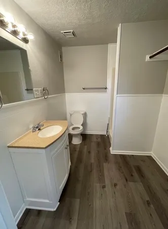 a bathroom with a sink a mirror and a toilet