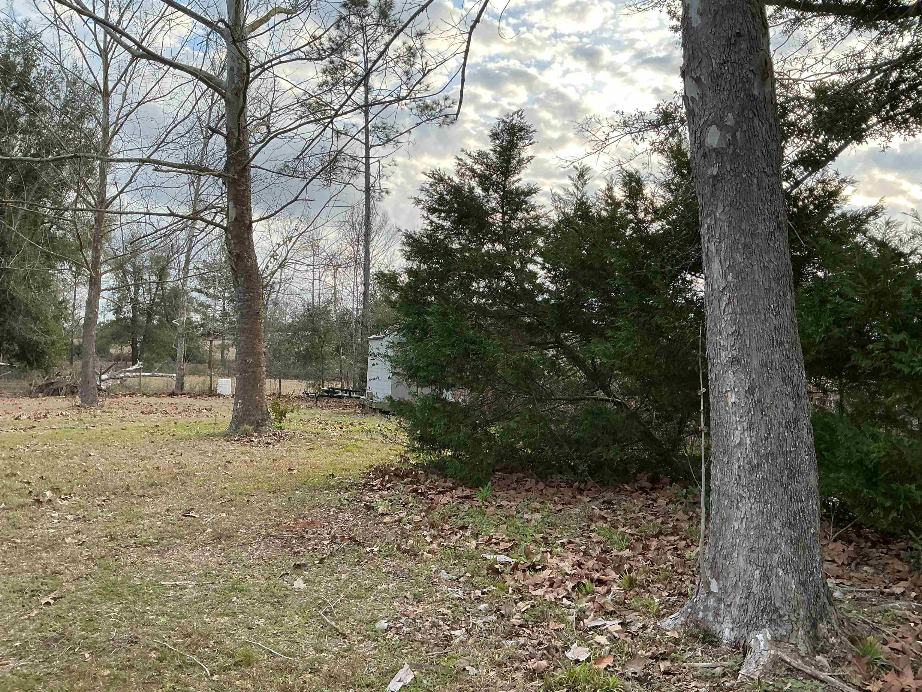 1597 Southwest Moseley Hall Road Madison, FL 32340 - Photo 11 of 49