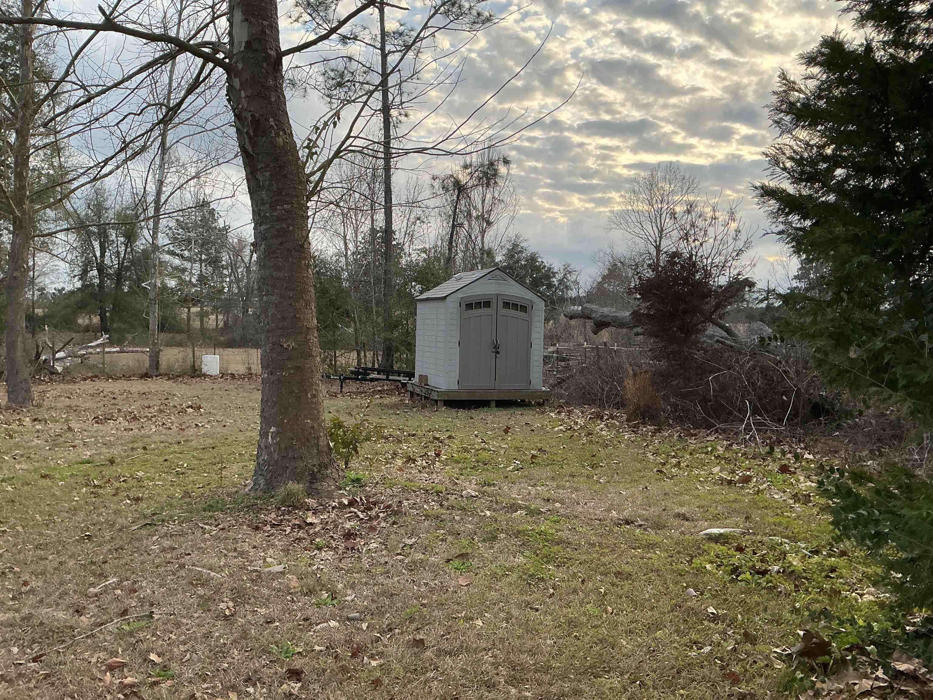 1597 Southwest Moseley Hall Road Madison, FL 32340 - Photo 38 of 49